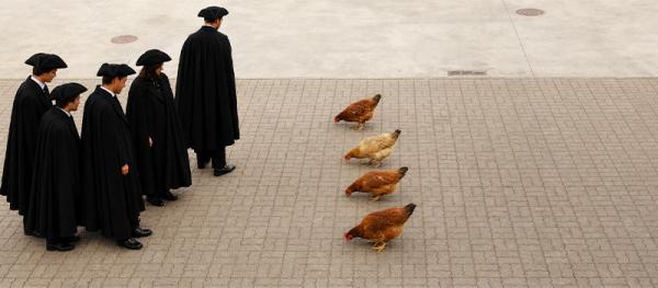 UNI GALINHAS 1