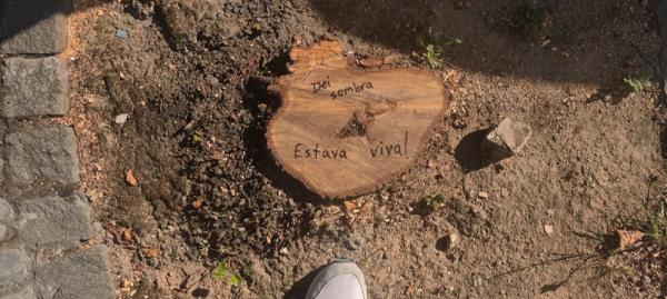 2 PENSAR SE A ARBORIZACAO EM COIMBRA1