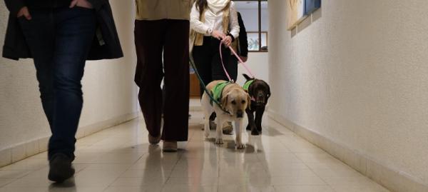 PROTOCOLO IPO COIMBRA1