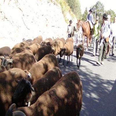 Encontro-de-pastores.jpg