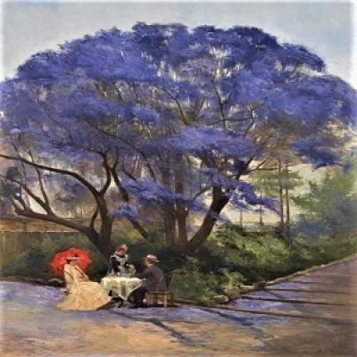 Jacaranda2.jpg
