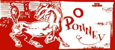Ponney4.jpg