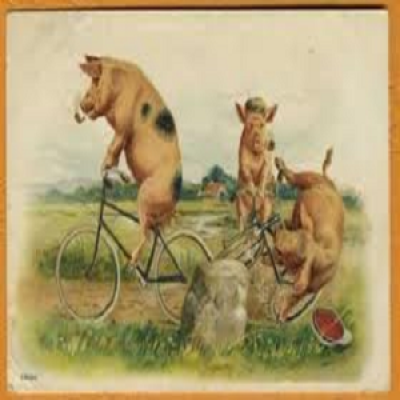 Porcos-andar-de-bicicleta.png