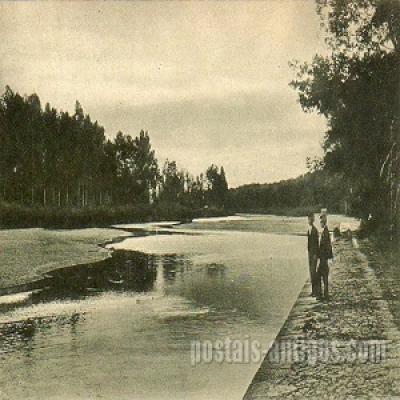 hc24-coimbra-mondego-choupal.jpg