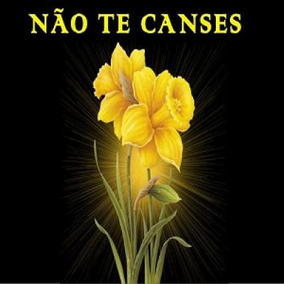 no-te-canses-1-638.jpg