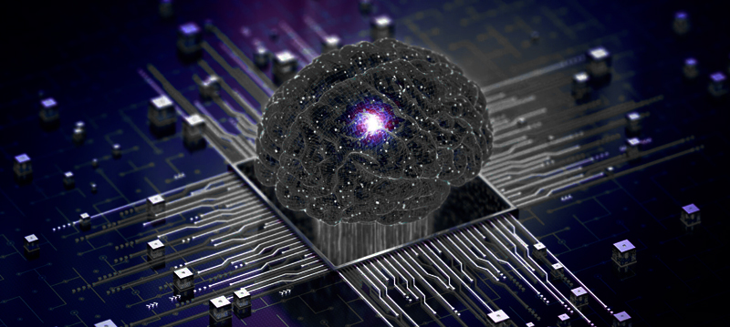 3 O CEREBRO QUE NUNCA DORME 3