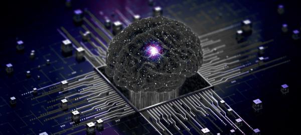 3 O CEREBRO QUE NUNCA DORME 1