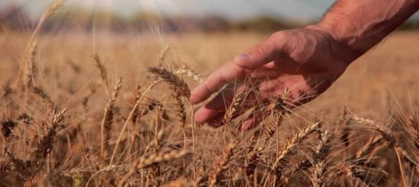 4 TERRA DE BOM CULTIVO ESPERA SEMENTE1