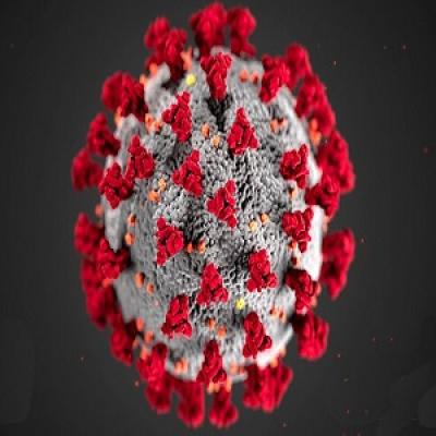 Coronavirus3.jpg