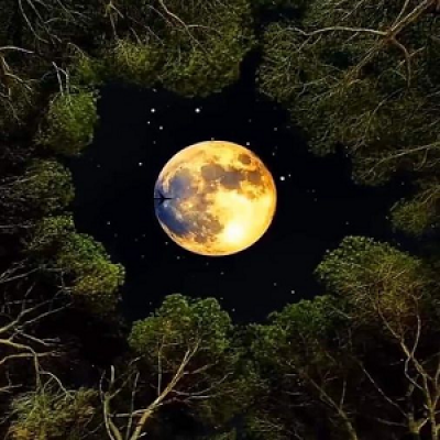 Lua.png