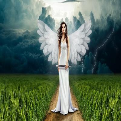 angel-749625-1280.jpg